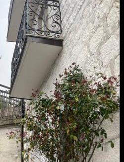Mirabello Sannitico House | Villa Carolina