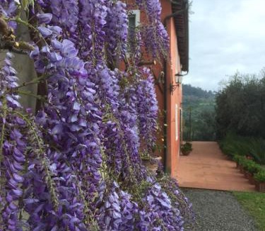 Lucca Villa | Villa Casetta