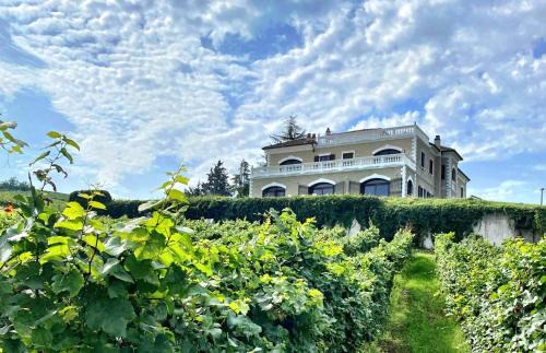 Montecalvo Versiggia House | Villa Chloé Boutique Wine Relais