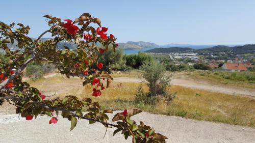 Anavyssos Villa | Villa Christina