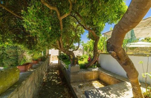 Otranto Apartment | Villa Ciandri