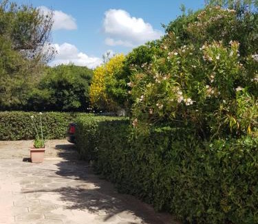 Padula Fede Villa | Villa Cino