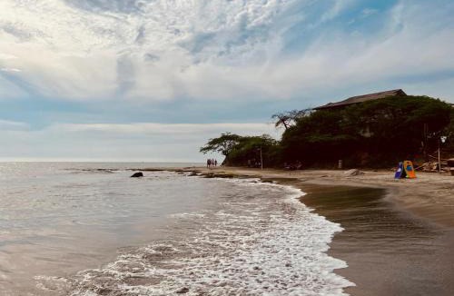 Papare House | Villa Colibrí