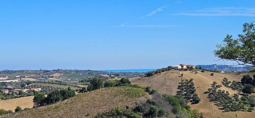 Picciano Villa | Villa Colli