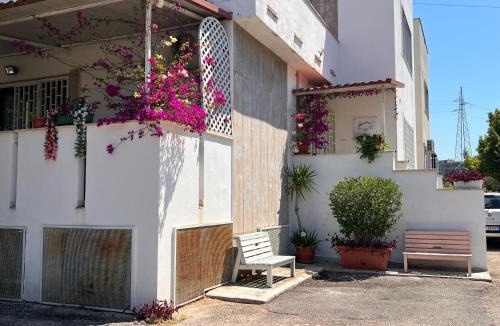 Municipio 2 Bed & Breakfast | Villa COME A CASA TUA