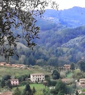 Nocchi Villa | Villa con parco e piscina-Camaiore