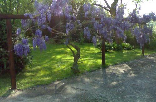 Canale Monterano Villa | Villa con piscina