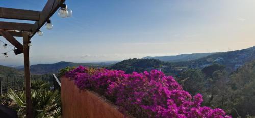 Canyelles Apartment | Villa Contenta Canyelles