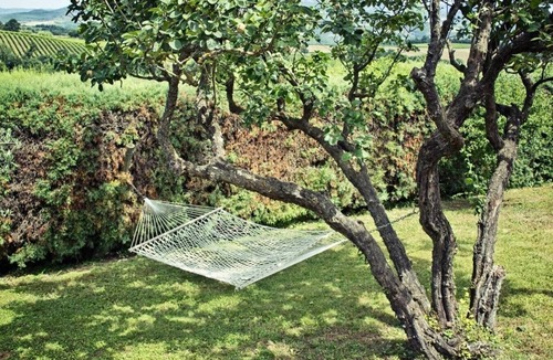 Corbara Villa | Villa Corelia - Private Umbrian villa with pool