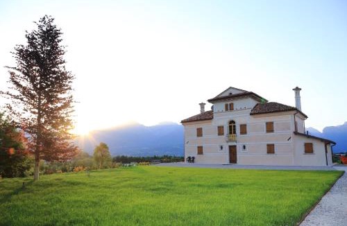 Mel Villa | Villa D'Or
