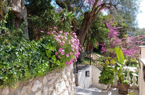 Menton Apartment | Villa Daja Menton