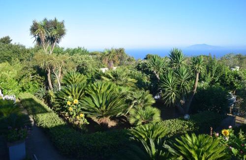 Anacapri Bed & Breakfast | villa damecuta B&B