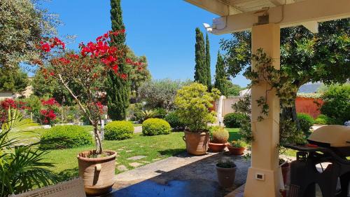 Marsala Villa | Villa Dammusello