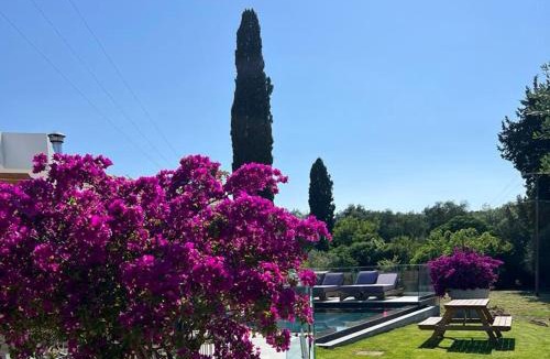 Corfu Town Villa | Villa Danai