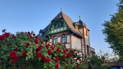 Muritz Apartment | Villa Daries - Ferienwohnung mit eigenem Müritzstrand