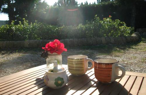 San Lorenzo Villa | Villa Davima