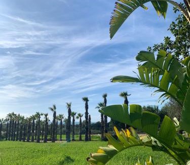 Scicli Apartment | VILLA DEA