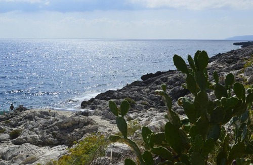 Marina di Marittima Villa | Villa del pescatore