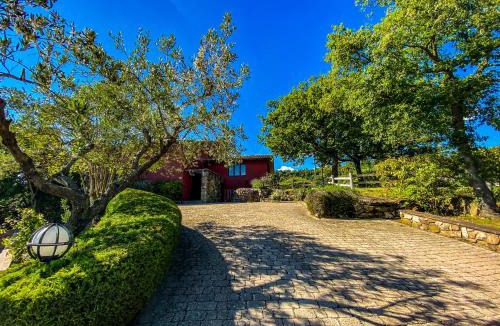 Passignano sul Trasimeno Villa | Villa Delle Rose