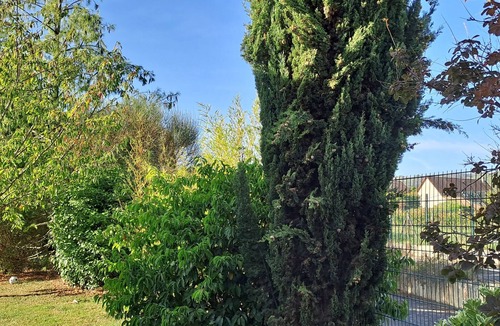 Marsannay-la-Cote House | Villa des Climats Bourgogne