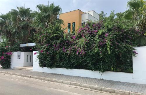 Aslanbucak Villa | Villa Diva