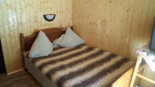 Gura Humorului Villa | Villa Doina