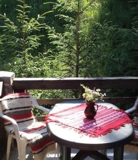 Gura Humorului Villa | Villa Doina