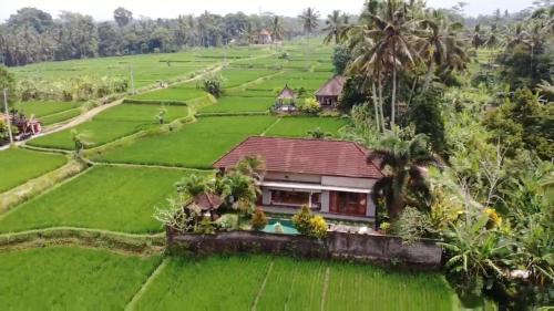 Melayang Villa | Villa Dolce far niente