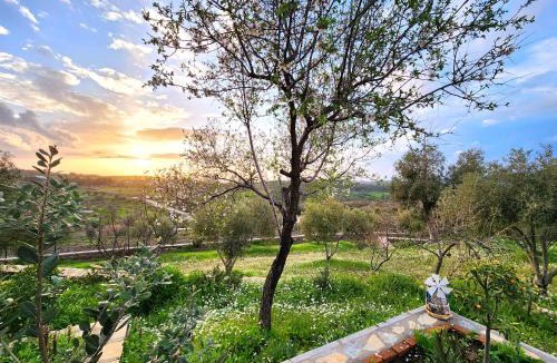 Mumcular Apartment | Villa Eleia Bodrum - Olive Garden & Stone House