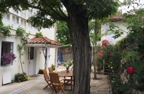 Potes House | Villa Elena