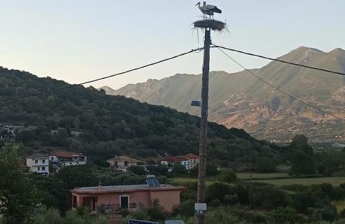 Souli House | Villa Eleni