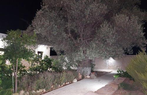 Sivas Villa | Villa Elia