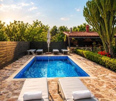 Antimachia Villa | Villa Elysian Private pool & garden view