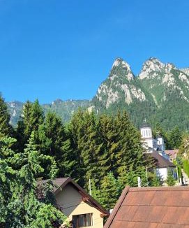 Busteni House | Villa Ermitage