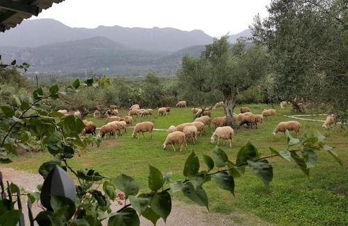 Arfara House | Villa Evelina