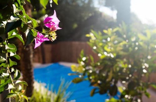 Torbole sul Garda House | Villa Fiore