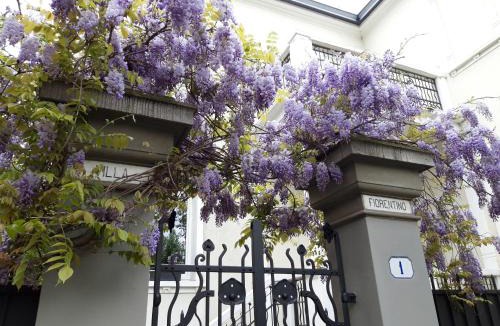 Historic Centre House | Villa Fiorentino
