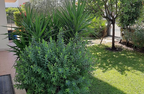 Monterosi Villa | Villa footsteps from the eternal city in a quaint countryside with all amenities
