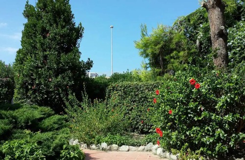 Forio Villa | Villa Forio d'Ischia with private descent to the sea