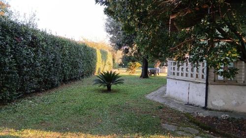 Villa Campanile House | Villa Franco