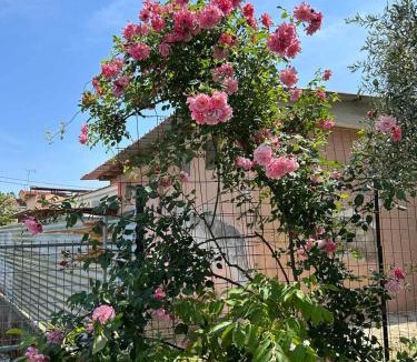 Pefki Apartment | Villa Froso