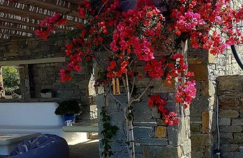 Nea Cryssi Akti Villa | Villa Gaia