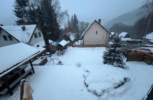 Baile Balvanyos Villa | Villa Garden