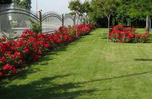 Calabrina Bed & Breakfast | Villa Giusy B&B