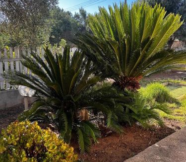 Quartu Sant'Elena Villa | Villa Harmony
