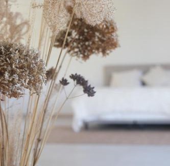 Lembeke Apartment | Villa Hartebos