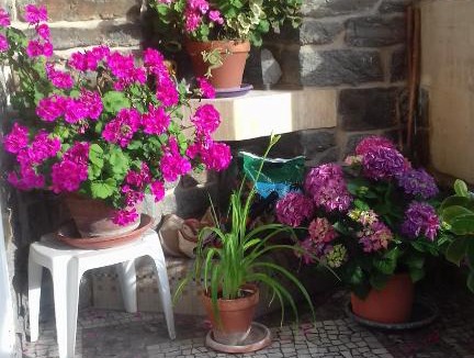 Haie Vigne Bed & Breakfast | Villa Helianthe