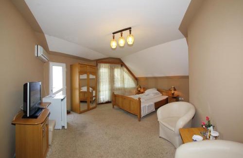 Baile Herculane House | Villa Hera