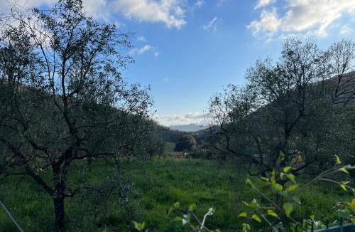 Aulla Villa | Villa i Pini
