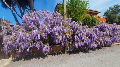 Zona XXXII Acilia Nord House | Villa il Glicine